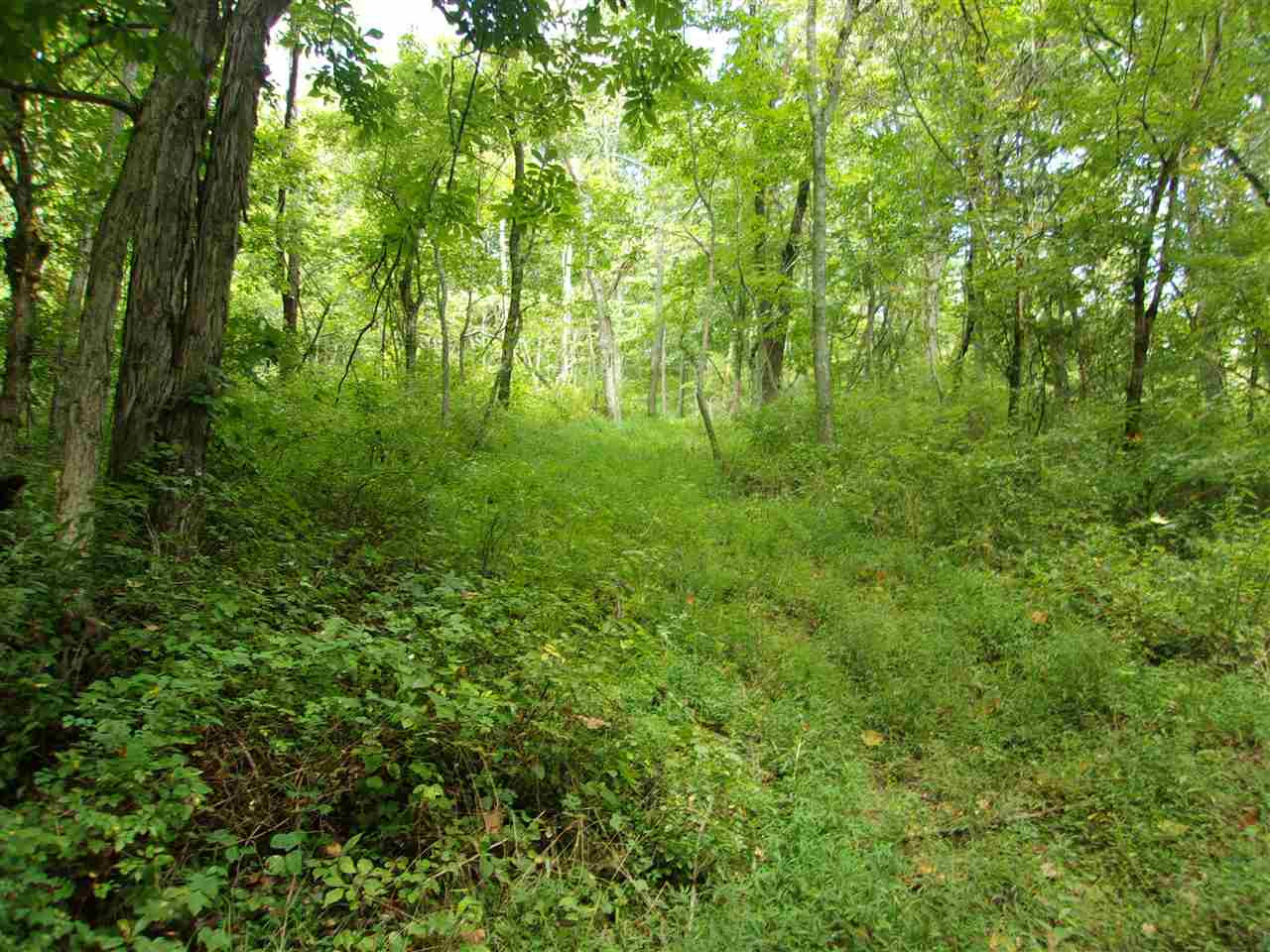30-acres Dover Road Augusta, KY 41002 - Photo 48 of 50 Gallery Image 48