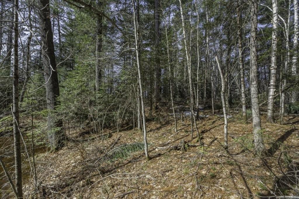 Off Natural Springs Road Presque Isle, WI 54557 - Photo 7 of 27 Gallery Image 7