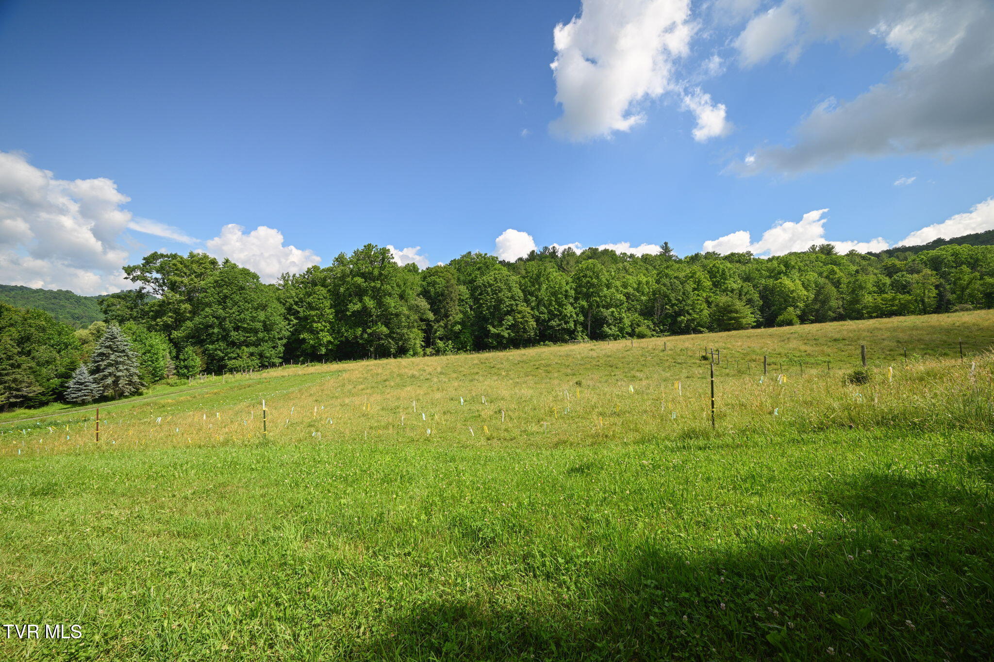 120 Teaberry Road Roan Mountain, TN 37687 - Photo 40 of 56 39-web-or-mls-EXT_3996