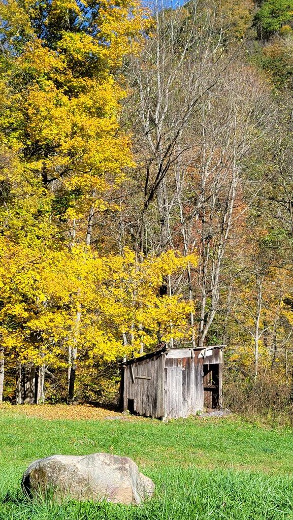 1499 Claypool Road Meadow Bridge, WV 25976 - Photo 10 of 20 Gallery Image 10