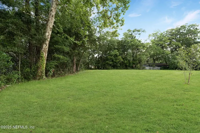 a view of a green field with a tree