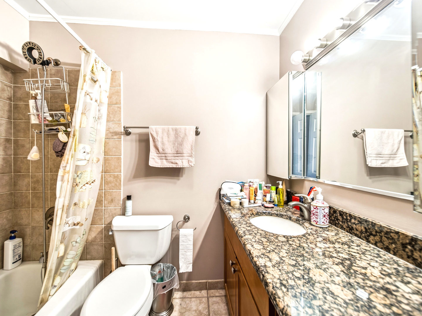 5455 North Sheridan Road, Unit 1404 Chicago, IL 60640 - Photo 15 of 24 a bathroom with a granite countertop sink and a mirror