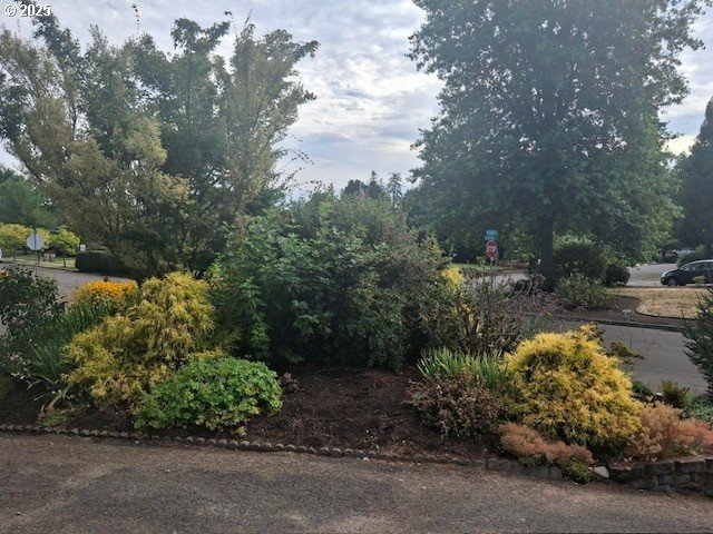 204 Carthage Avenue Eugene, OR 97404 - Photo 13 of 30