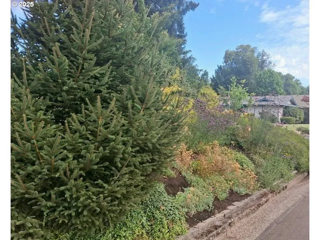 $475,000 | 204 Carthage Avenue, Eugene, OR 97404