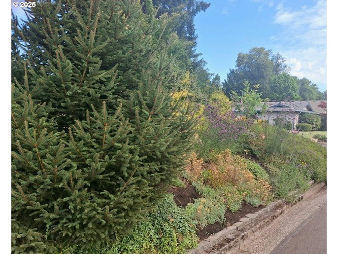 204 Carthage Avenue Eugene, OR 97404 - Photo 15 of 30