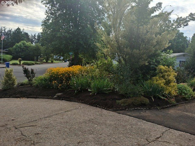 204 Carthage Avenue Eugene, OR 97404 - Photo 16 of 30