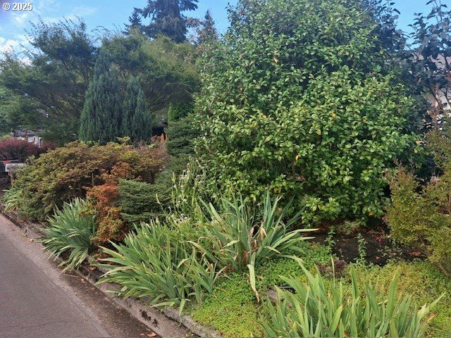 204 Carthage Avenue Eugene, OR 97404 - Photo 19 of 30