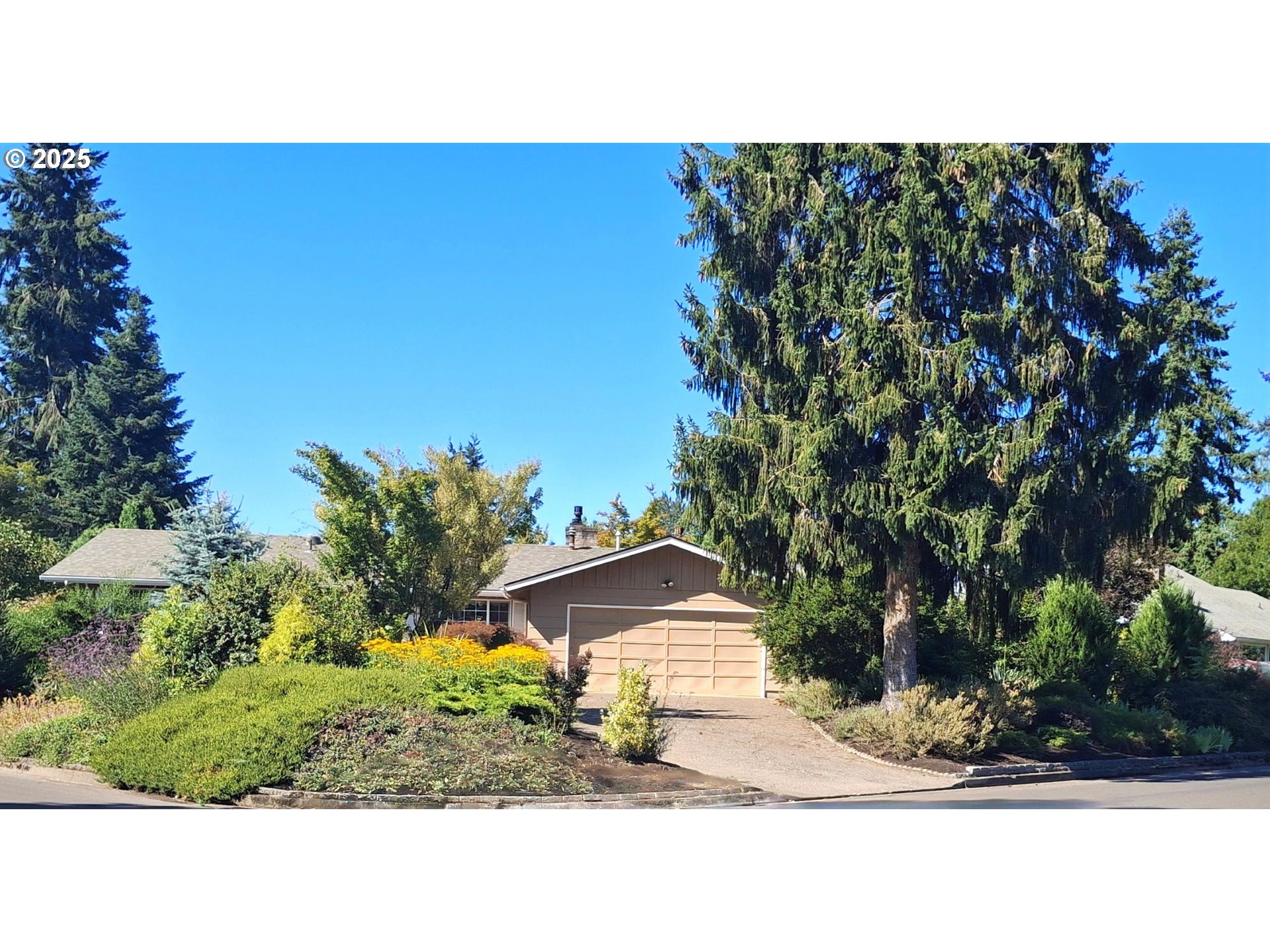 204 Carthage Avenue Eugene, OR 97404 - Photo 5 of 30