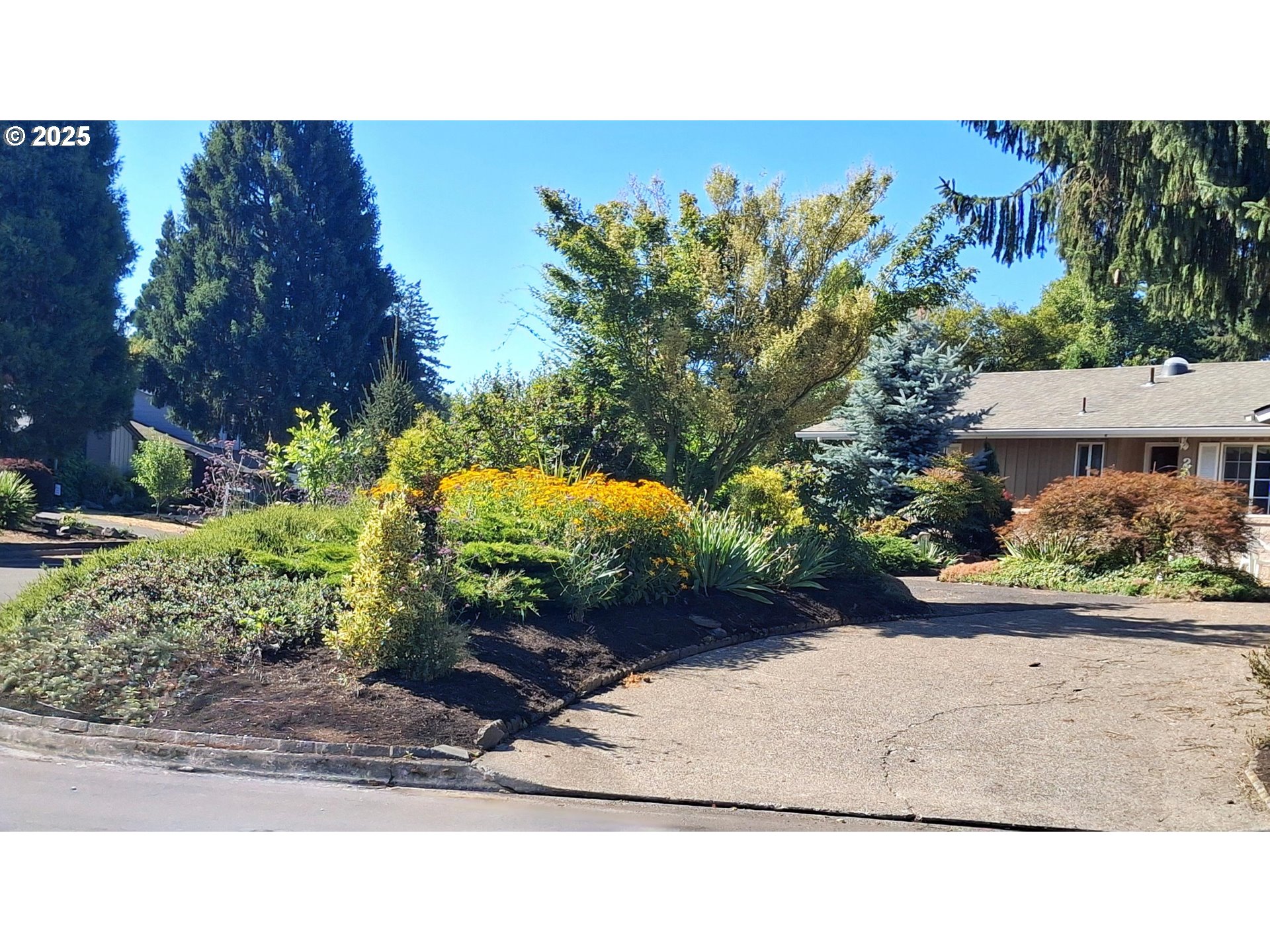 204 Carthage Avenue Eugene, OR 97404 - Photo 7 of 30