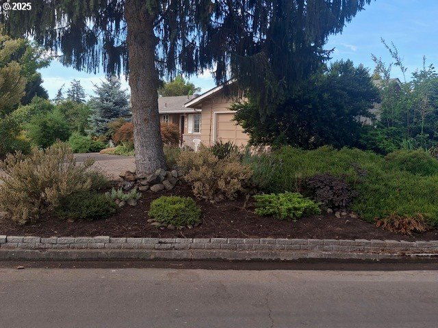 204 Carthage Avenue Eugene, OR 97404 - Photo 9 of 30