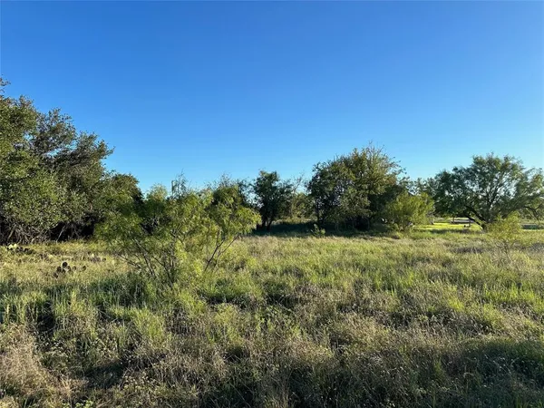 $29,000 | 263 Feather Bay Drive, Brownwood, TX 76801