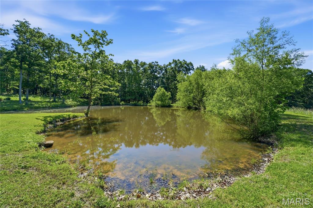 7816 Rye Creek Road St. Clair, MO 63077 - Photo 59 of 80