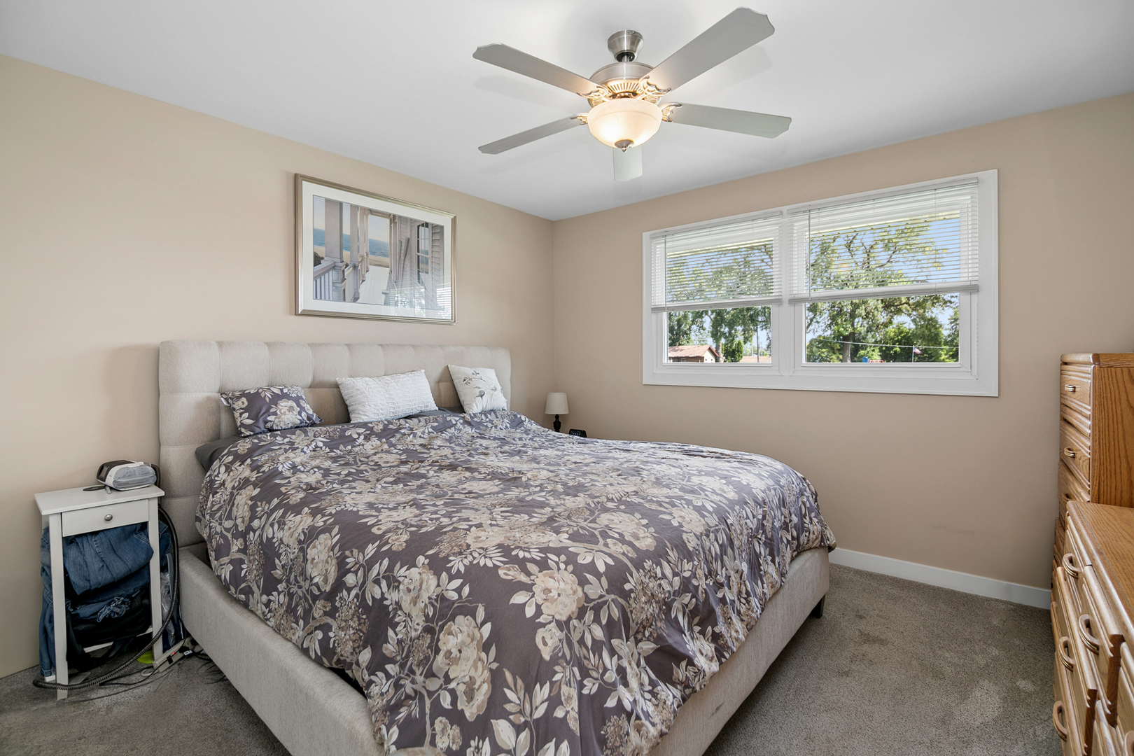 7416 South Octavia Avenue Bridgeview, IL 60455 - Photo 17 of 24 Gallery Image 17