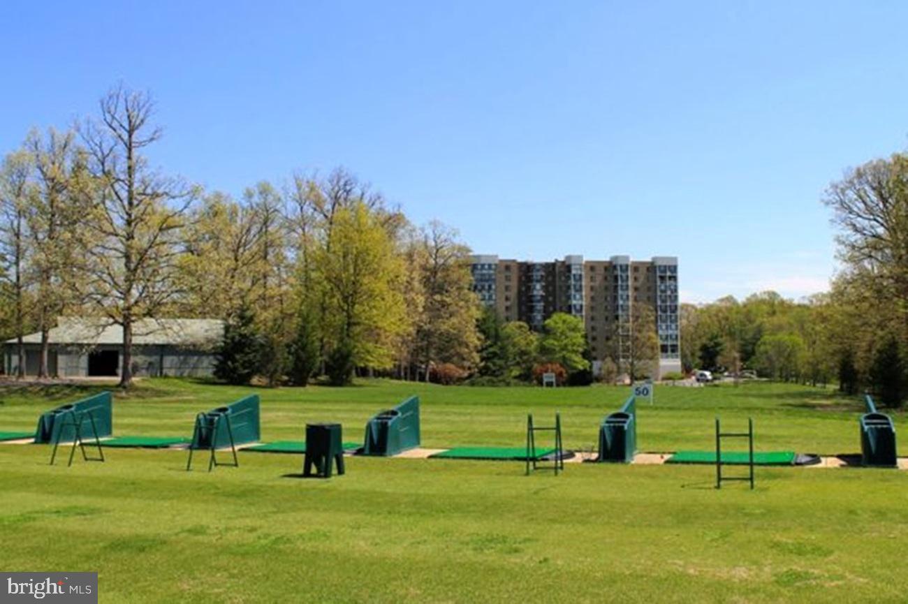 3005 South Leisure World Boulevard, Unit 514 Silver Spring, MD 20906 - Photo 15 of 16 Driving Range