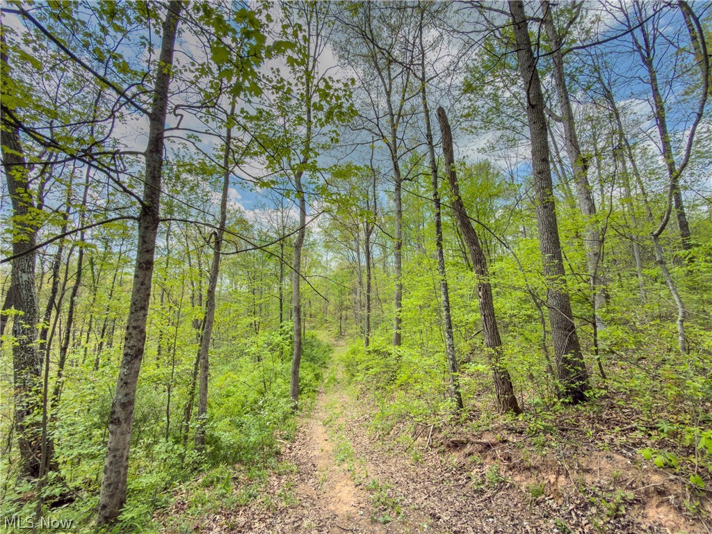 Beardmore Road Wingett Run, OH 45789 - Photo 21 of 43
