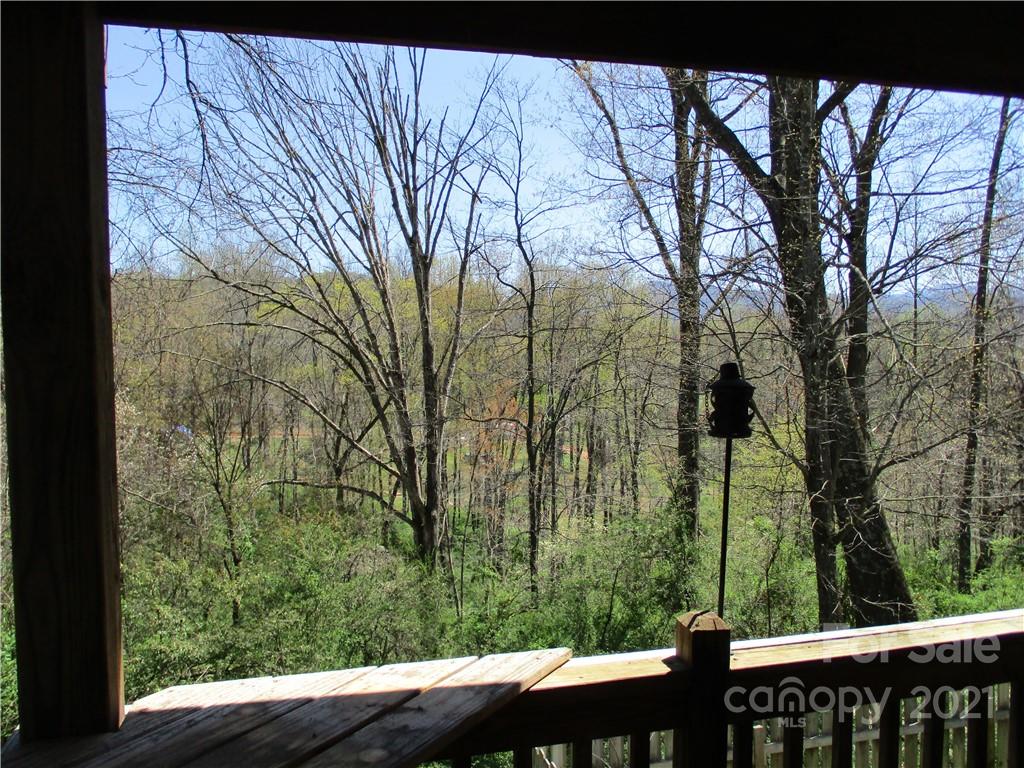 388 Richards Ridge Canton, NC 28716 - Photo 12 of 22