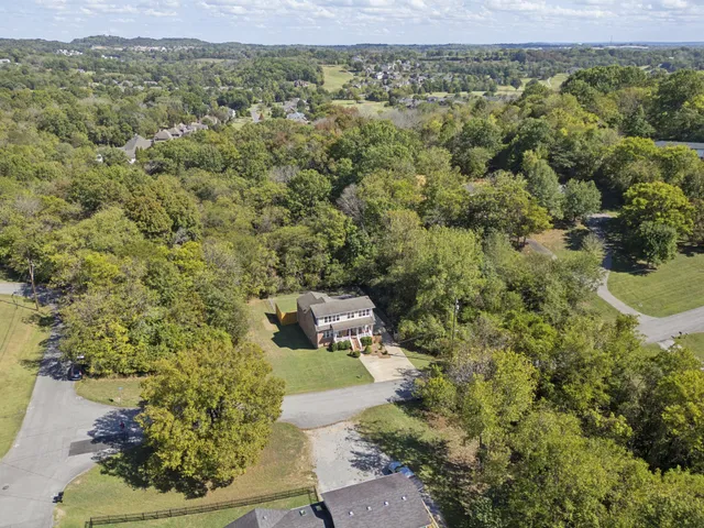 a view of a city with lush green forest