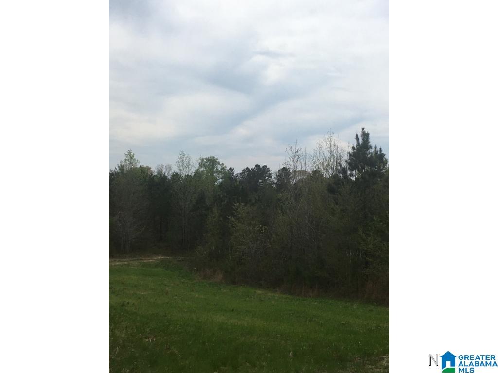 0 Bear Creek Road Haleyville, AL 35565 - Photo 2 of 13