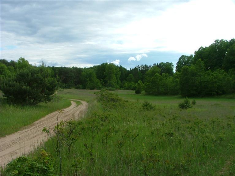 1 Rice Road Copemish, MI 49625 - Photo 16 of 20 Additional Photo