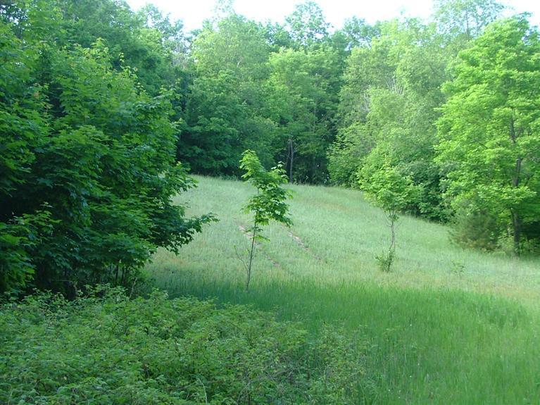 1 Rice Road Copemish, MI 49625 - Photo 2 of 20 Additional Photo