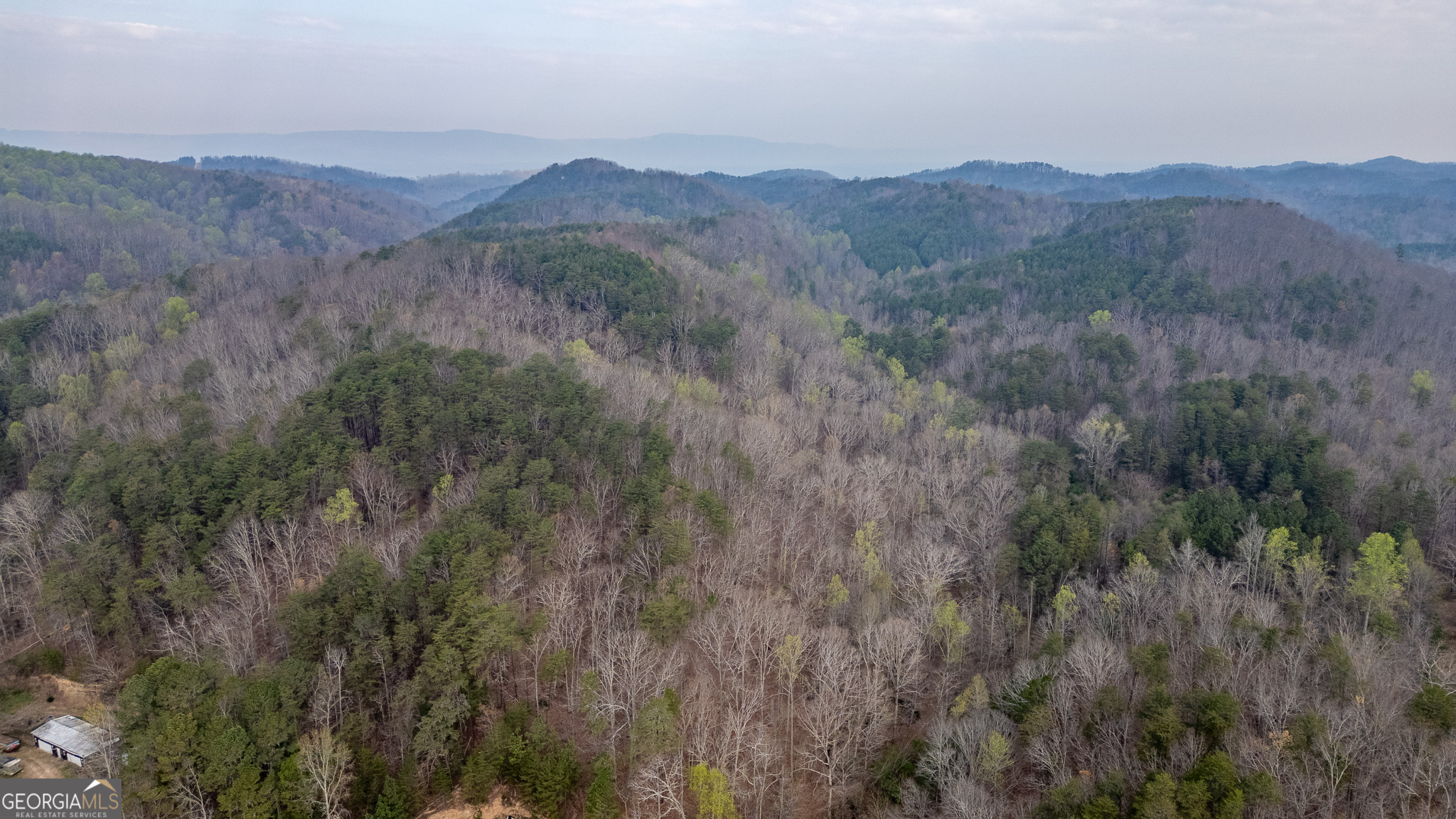 0 Castleberry Road LaFayette, GA 30728 - Photo 1 of 1 a view of a lush green hillside and a mountain