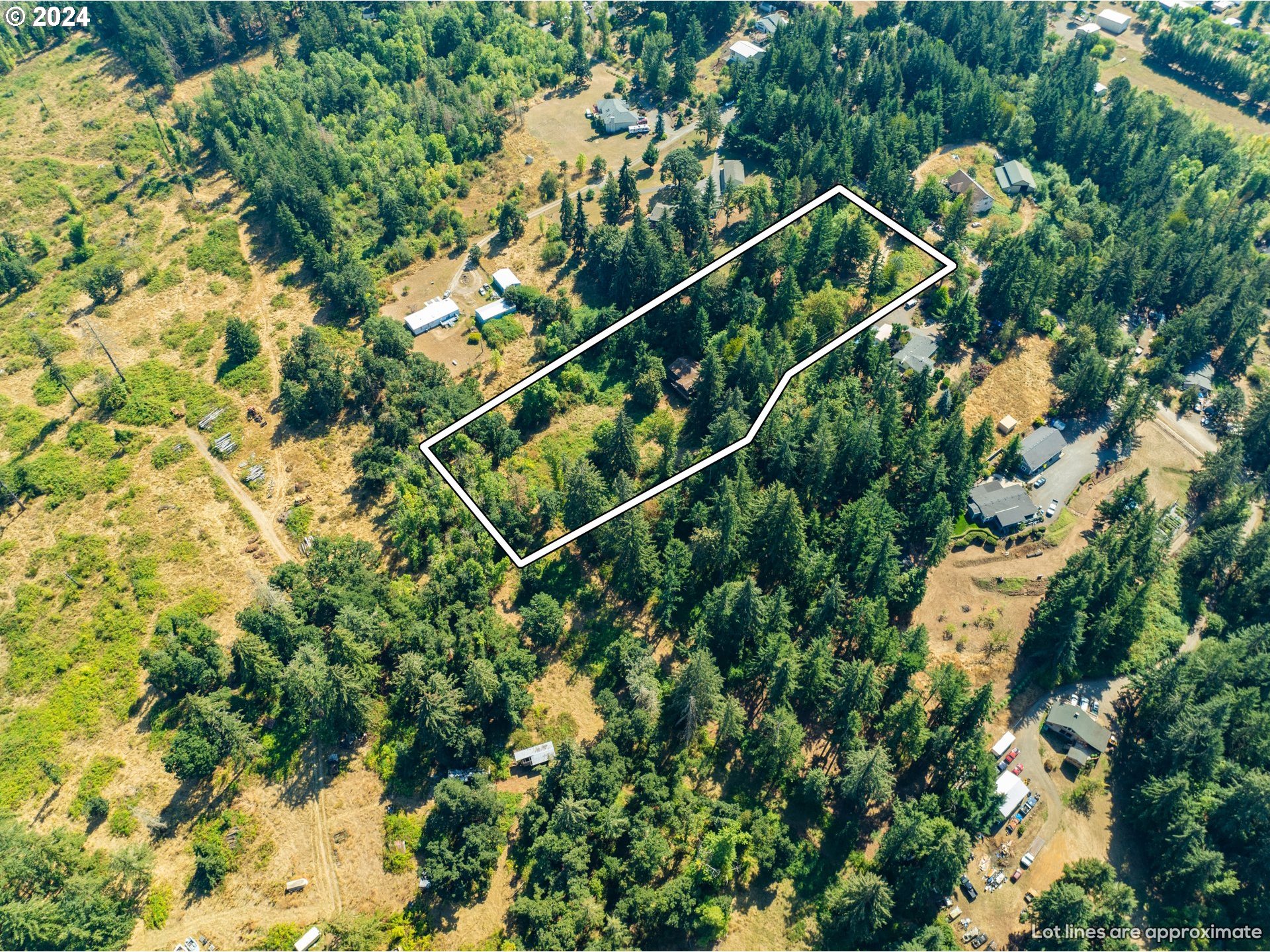 10909 South Ridgetop Drive Molalla, OR 97038 - Photo 24 of 28 a view of a plant with a tree