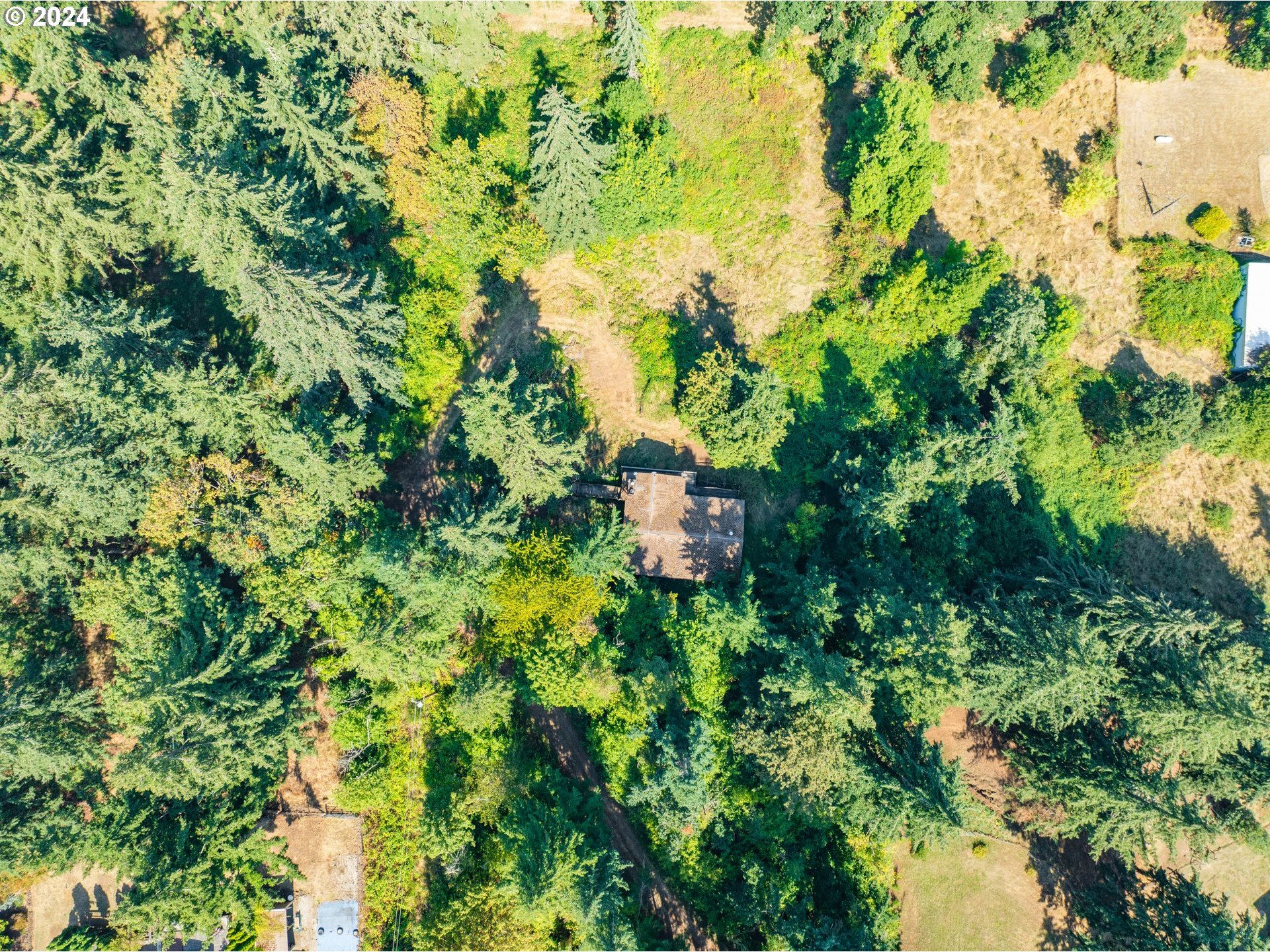 10909 South Ridgetop Drive Molalla, OR 97038 - Photo 28 of 28 a backyard of a house with lots of green space