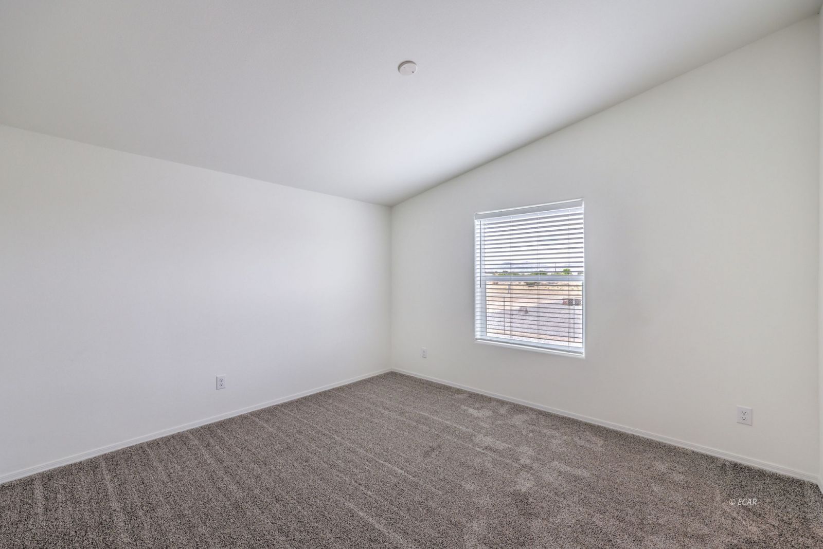381 East Pechstein Road Pahrump, NV 89060 - Photo 33 of 46