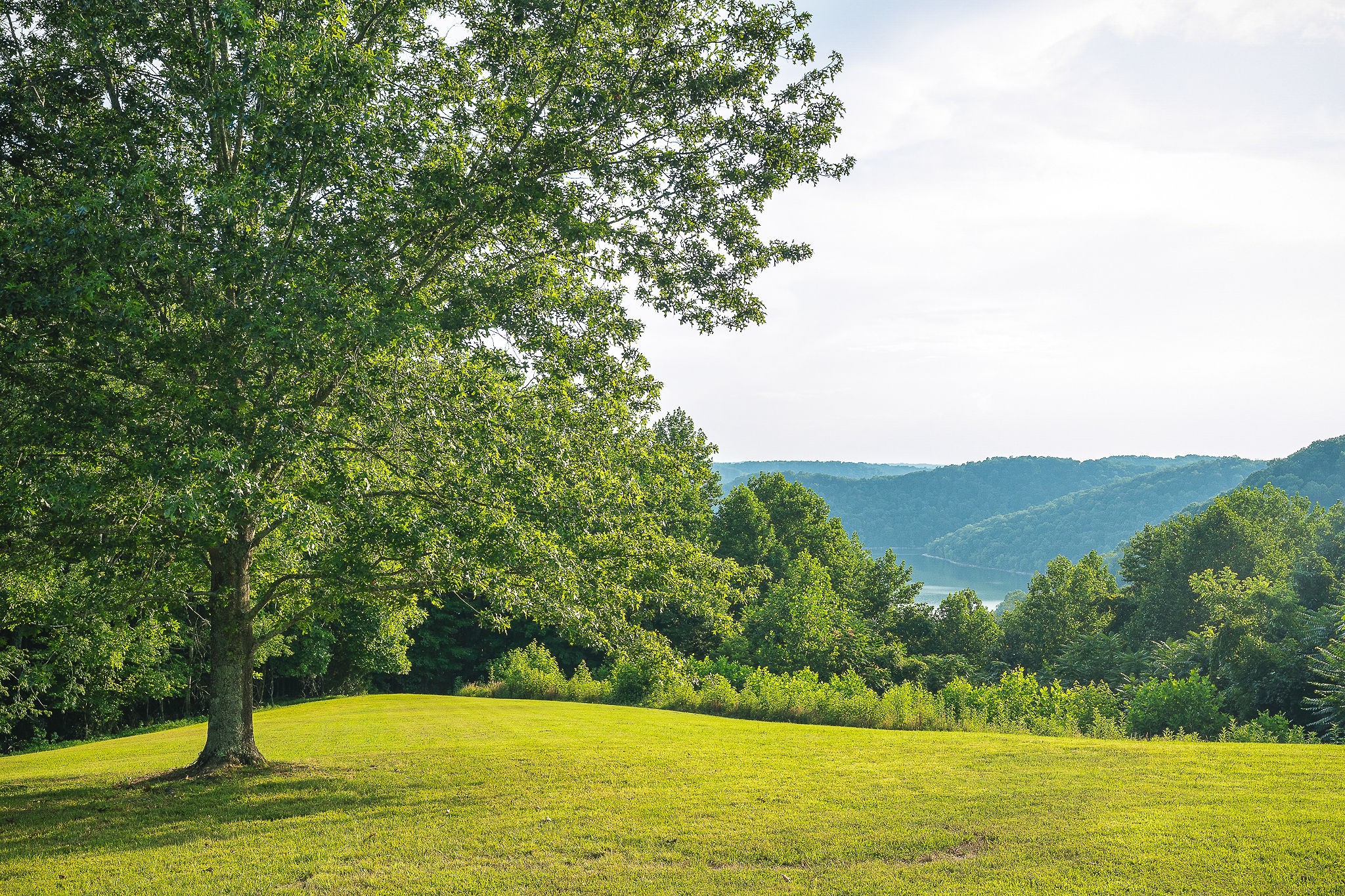 11720 Fox Hill Road Baxter, TN 38544 - Photo 13 of 89