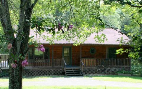 Main View