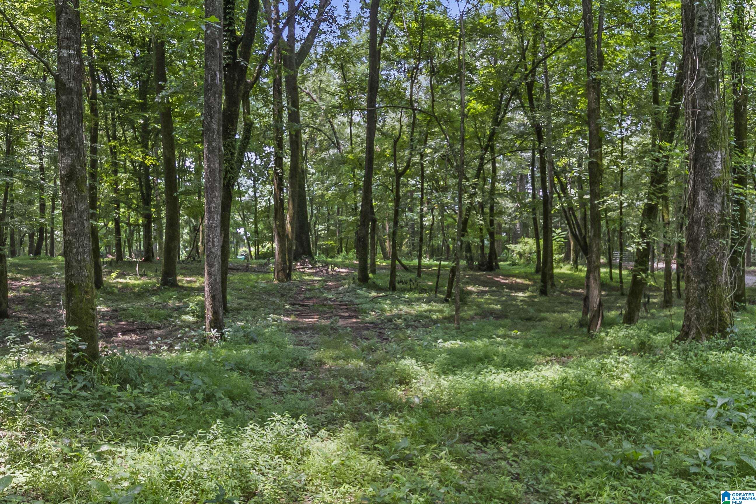 13615 Riverbend Road Moundville, AL 35474 - Photo 18 of 33