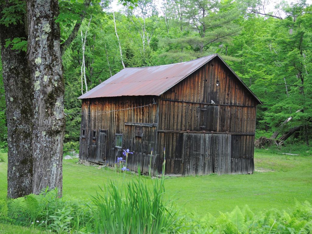 35 Dam Road Chittenden, VT 05737 - Photo 3 of 34