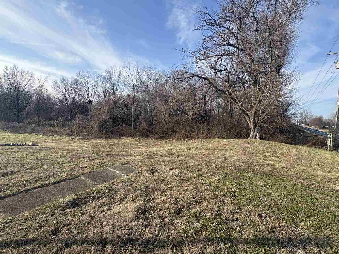 3657 Dillinger Road Carbondale, IL 62901 - Photo 18 of 22 a view of large yard with large trees