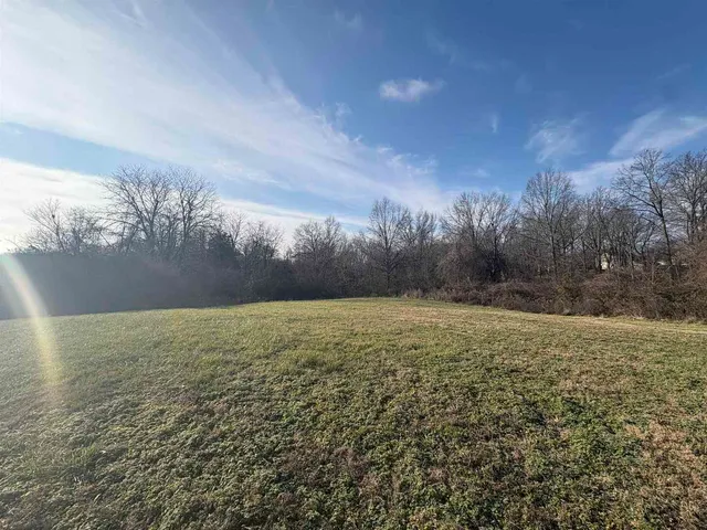 a view of a field with trees