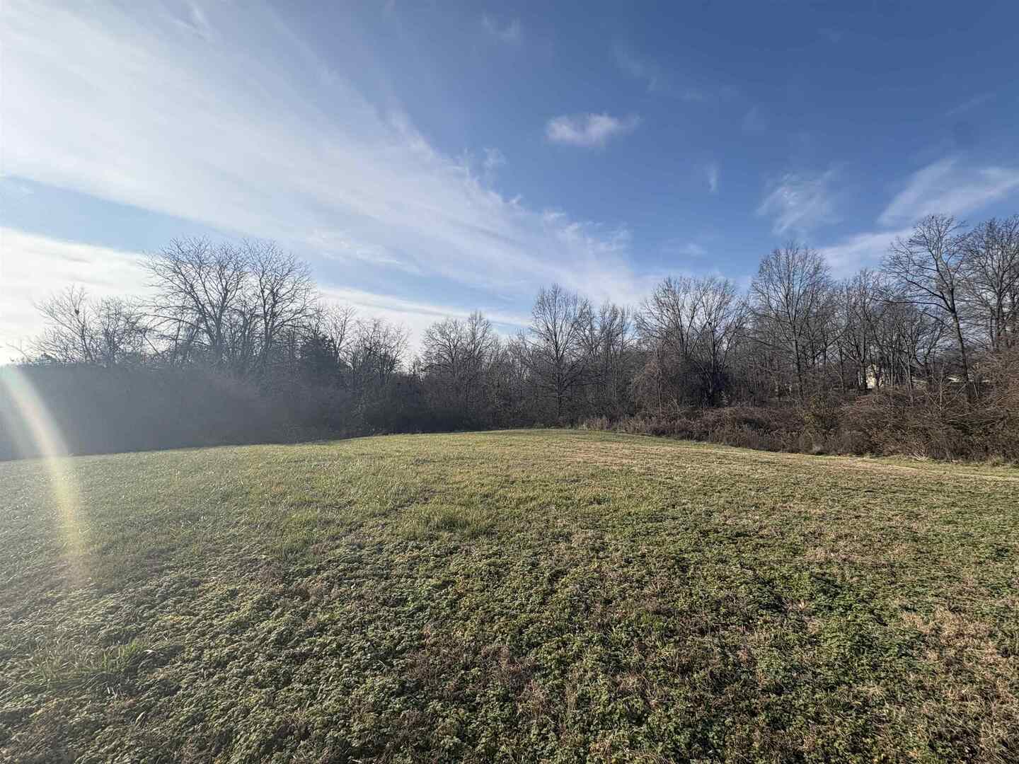 3657 Dillinger Road Carbondale, IL 62901 - Photo 20 of 22 a view of outdoor space and yard