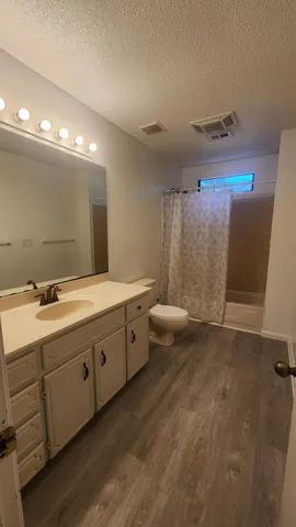 a bathroom with a double vanity sink a toilet and a mirror