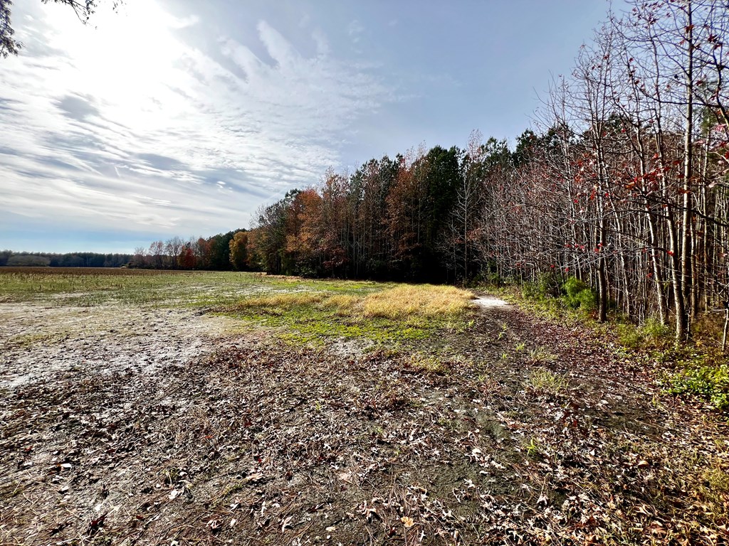 Lot 11 Pungoteague Road, Unit 11 Melfa, VA 23410 - Photo 3 of 7