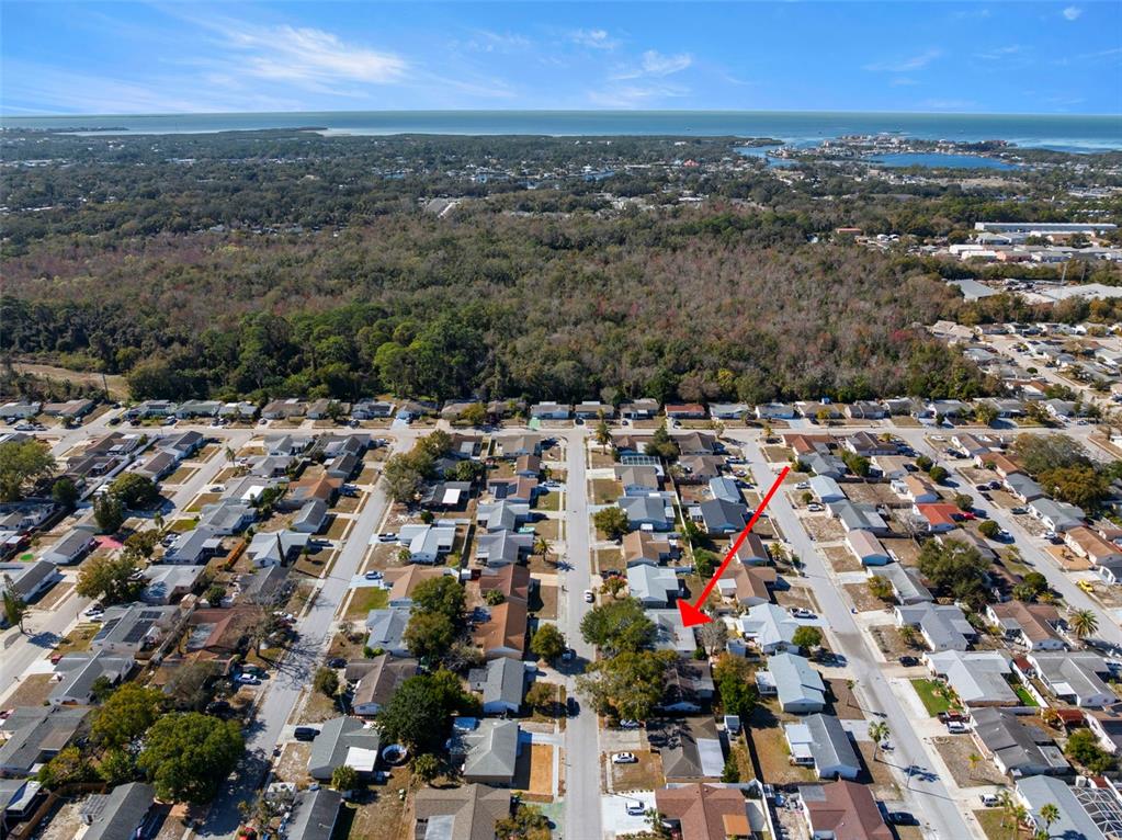 6333 Aberdeen Avenue New Port Richey, FL 34653 - Photo 37 of 37