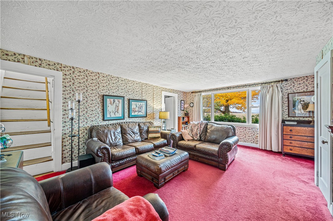 4804 Guest Road Jefferson, OH 44047 - Photo 10 of 48 Carpeted living room featuring a textured ceiling