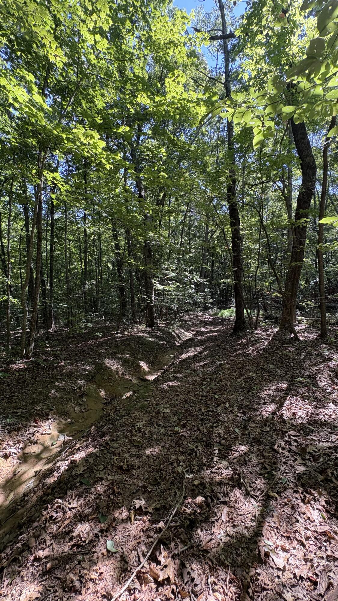 474 Mud Road Graysville, TN 37338 - Photo 27 of 36 Mud Rd