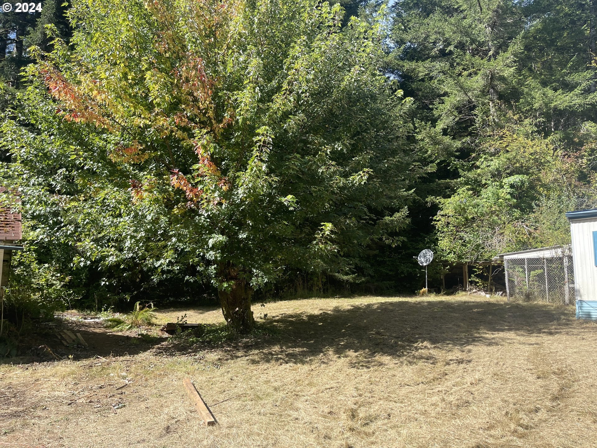 58525 Southwest Hebo Road Grand Ronde, OR 97347 - Photo 16 of 17 a view of a yard with plants and trees