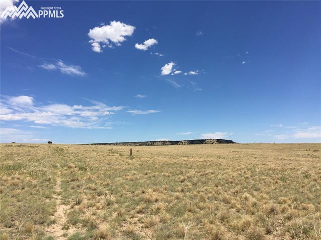 6003 County Road 110 Rye, CO 81069 - Photo 3 of 6