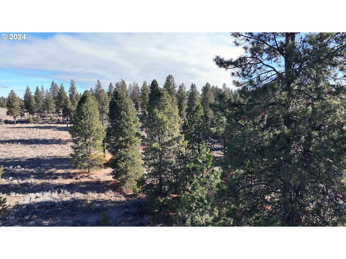Shoshoni Way Chiloquin, OR 97624 - Photo 2 of 47