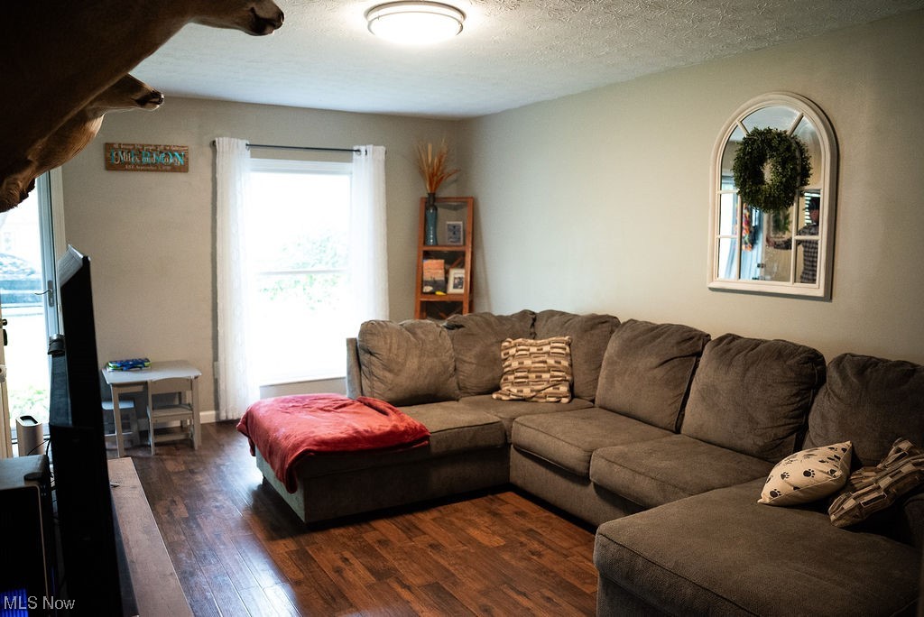1906 Aberdeen Road Madison, OH 44057 - Photo 4 of 16 New flooring in the living room