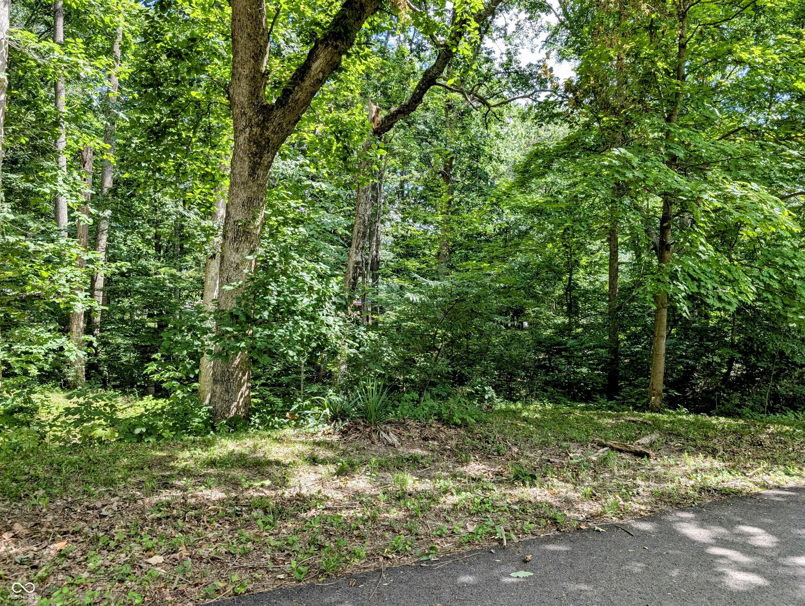 0 South Cove Road Martinsville, IN 46151 - Photo 2 of 3