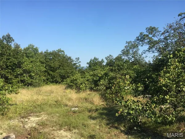 $2,747,500 | 221 Middlebrook Road, Ironton, MO 63650