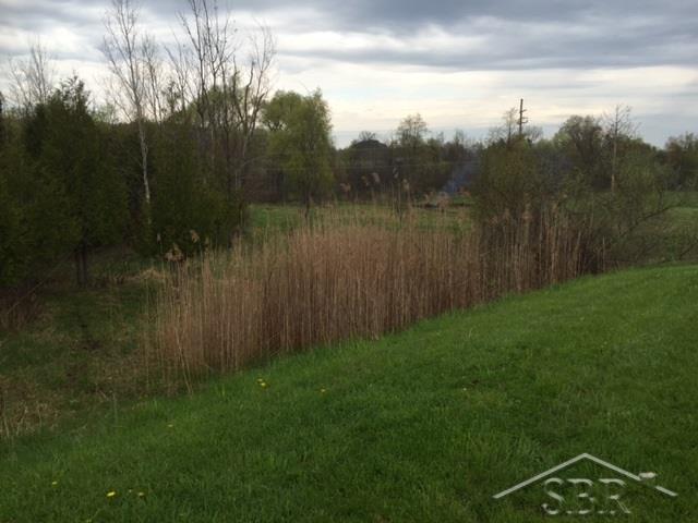 868 West Barnes Road Fostoria, MI 48435 - Photo 35 of 53