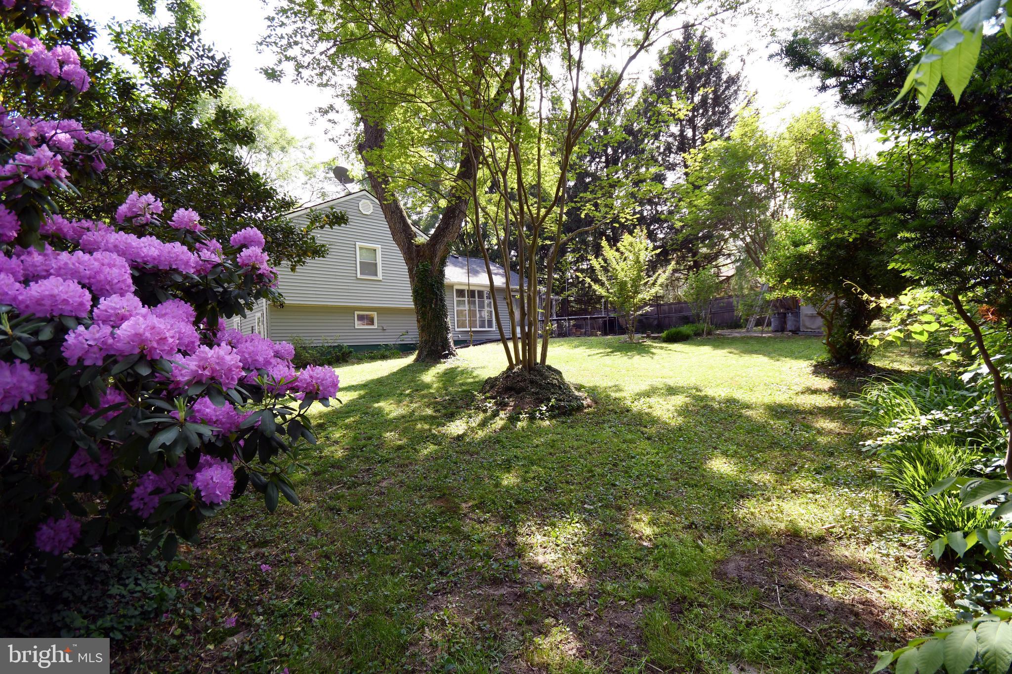 1402 Mullins Street Silver Spring, MD 20904 - Photo 28 of 29 a view of a garden with plants and large trees