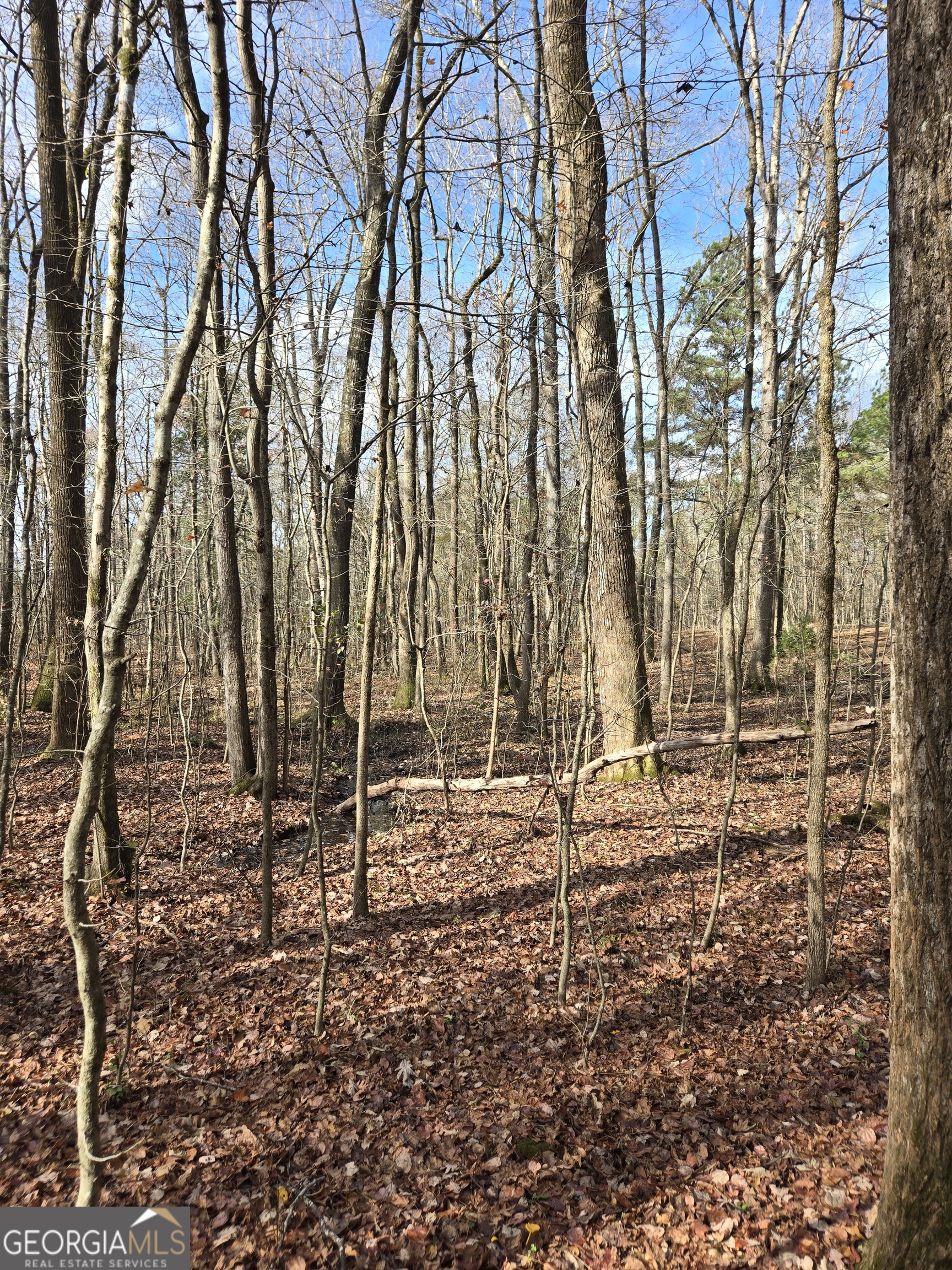 -yatesville R Yatesville Road Barnesville, GA 30204 - Photo 10 of 11