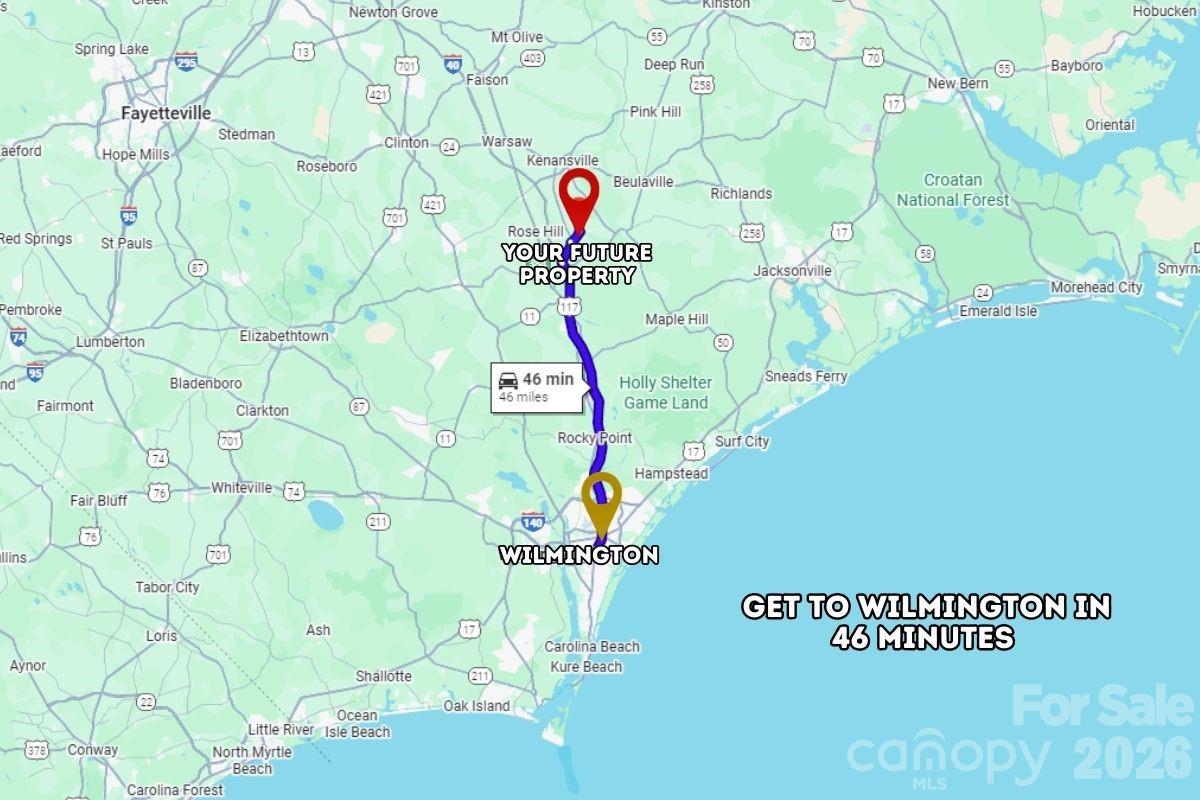 0 Carr Town Road, Unit 1951 Rose Hill, NC 28458 - Photo 3 of 4